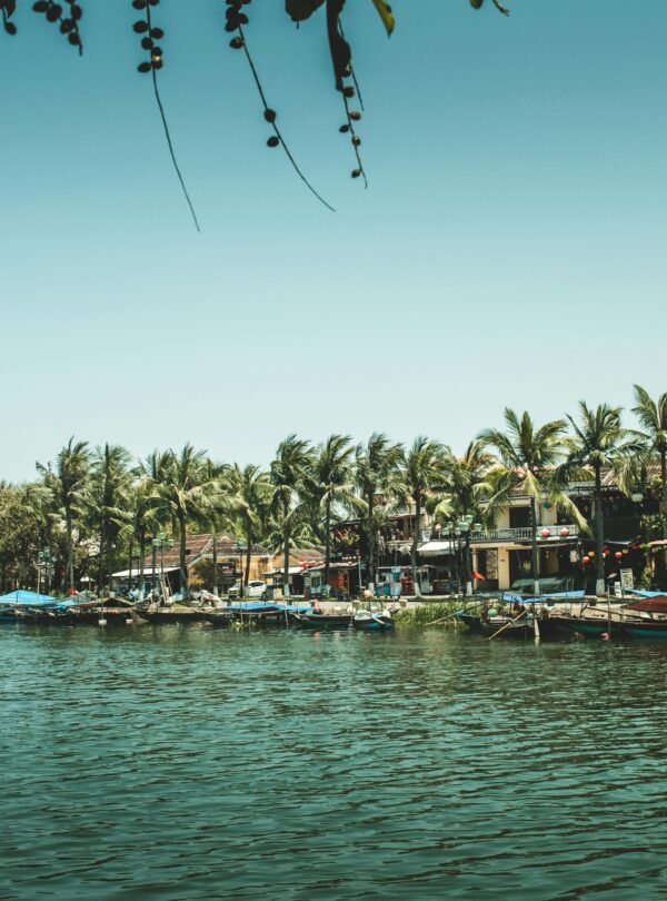 A serene riverside scene with palm trees and traditional Vietnamese houses, perfect for travel imagery.